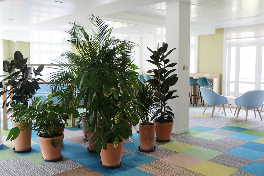 Bureaux GreenFlex Paris