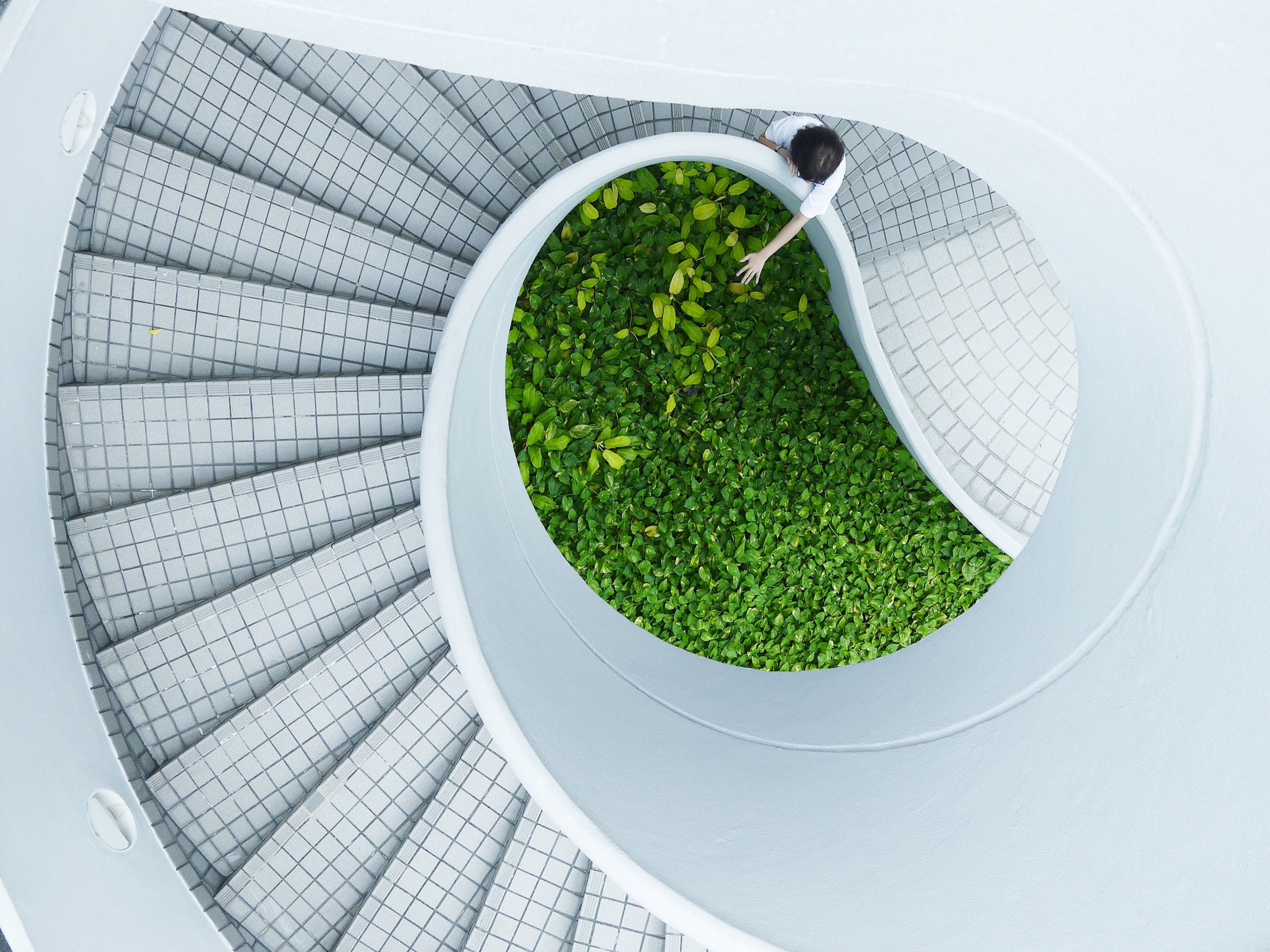 Vue en plongée d'une femme montant des escaliers au milieu desquels se trouvent des plantes