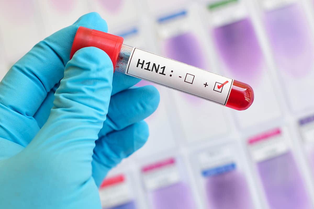 Main gantée d'une personne tenant une fiole libellée H1N1