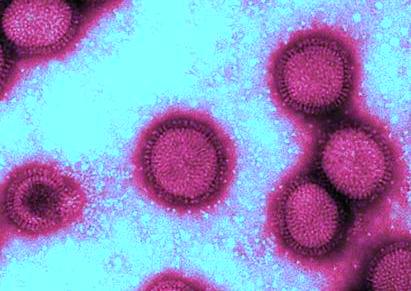 Vue au microscope du virus de la grippe
