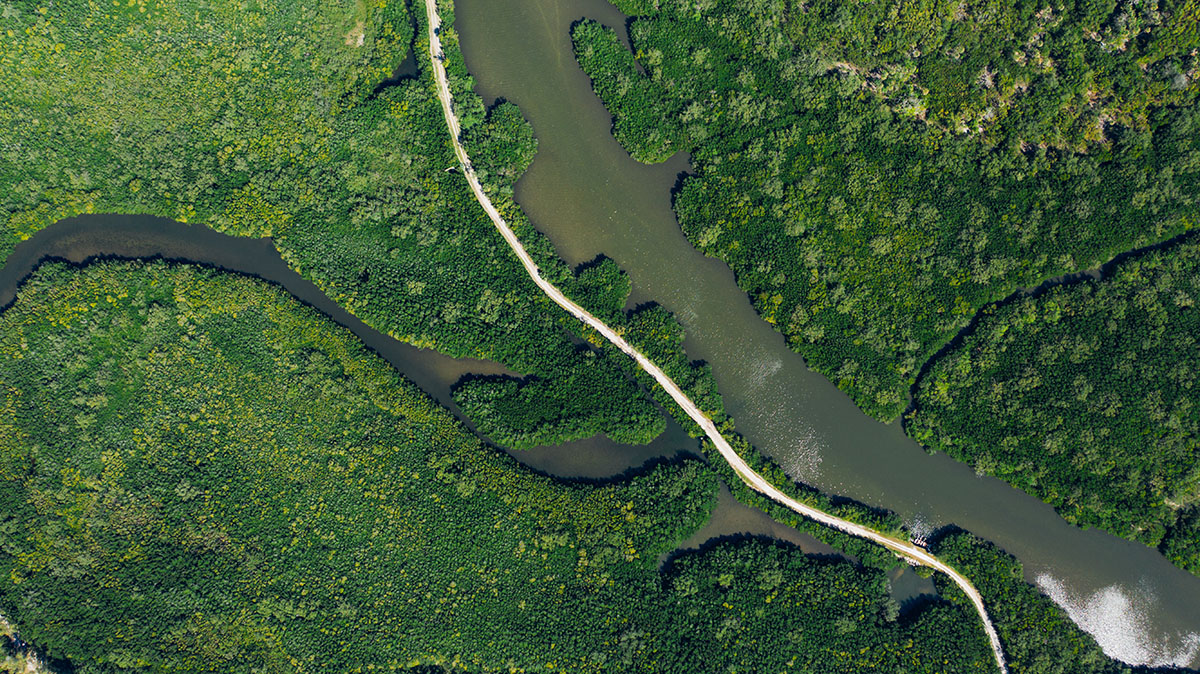 Vue aérienne d'une forêt au milieu de laquelle coule une rivière