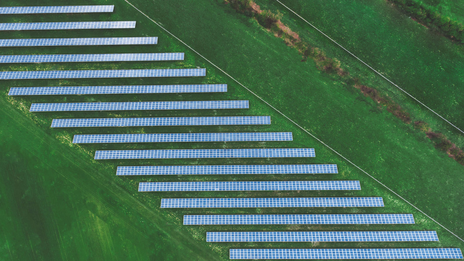 Vue en plongée de panneaux photovoltaïques entourés de champs verts