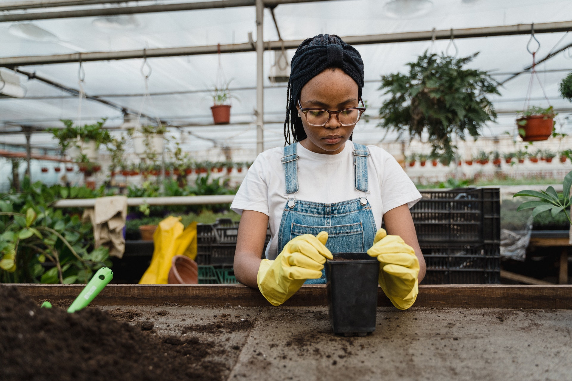 Une femme noire dans une serre rempote une plante