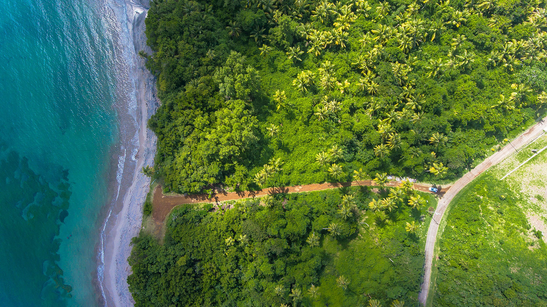 Aerial view of a river going through a forest and flowing into the sea