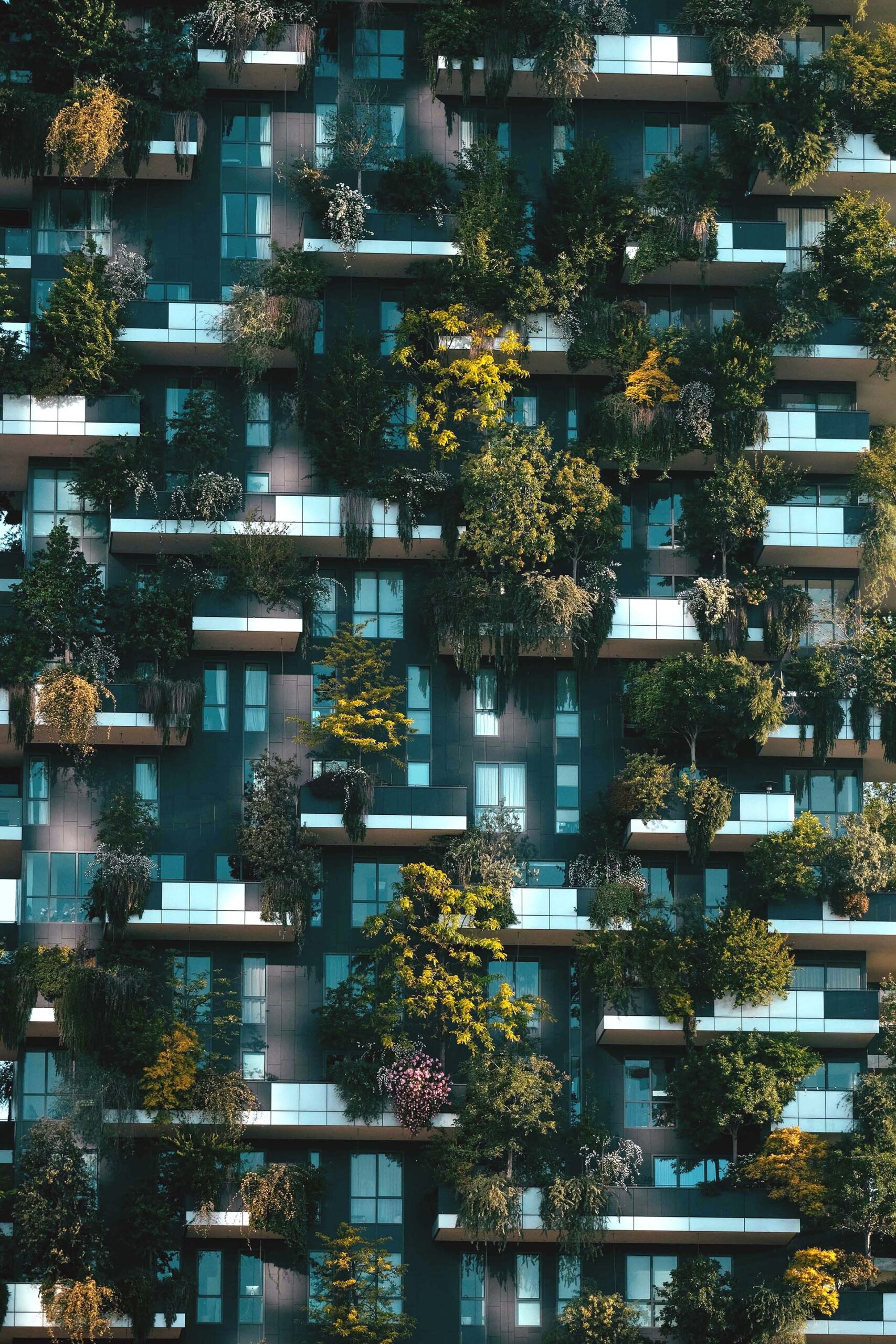 Front of a building with planted balconies