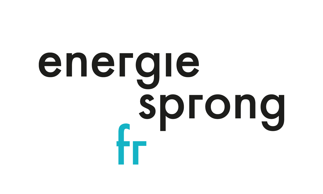 Logo EnergieSprong