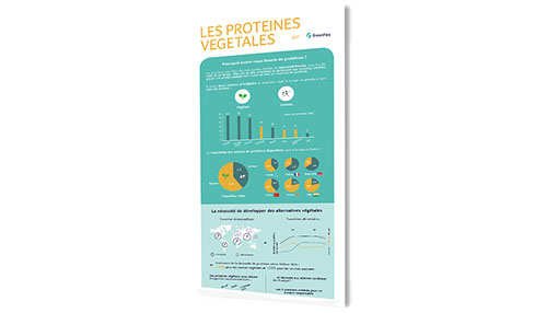 Illustration de l'infographie protéines végétales