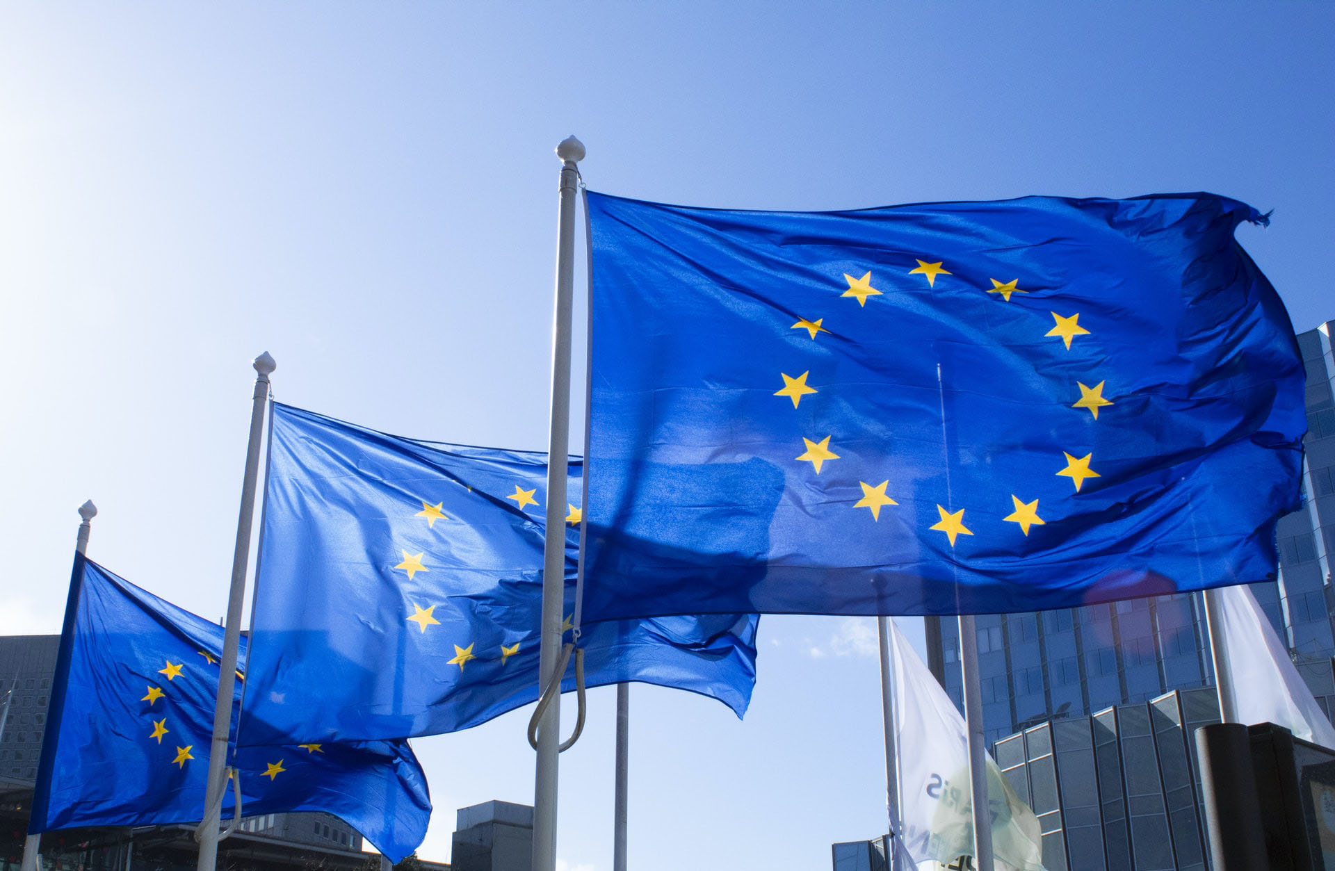 Drapeaux de l'Union Européenne flottant au vent