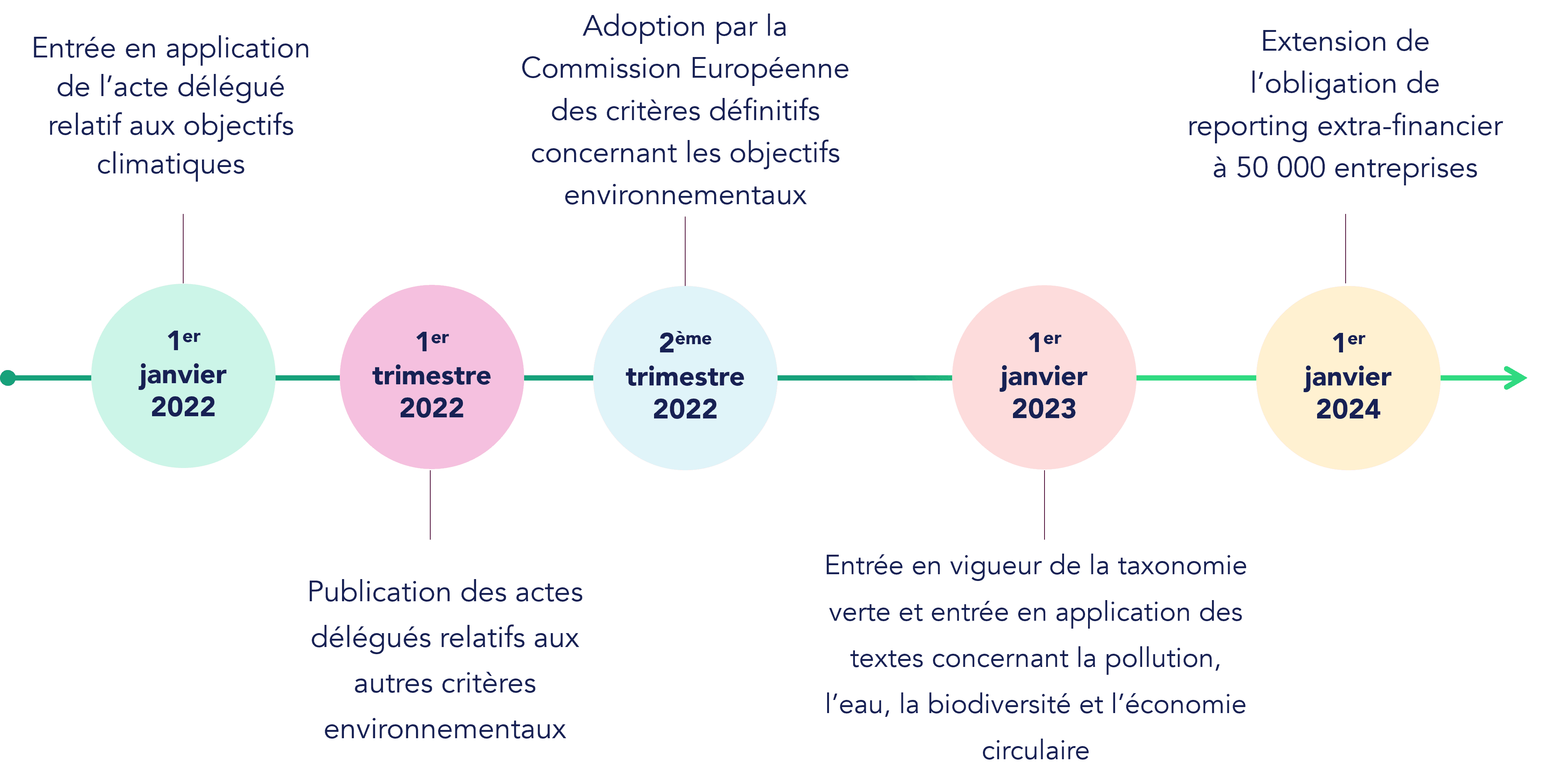 Lenjeu De La Taxonomie Verte Pour Les Entreprises En 5 Points