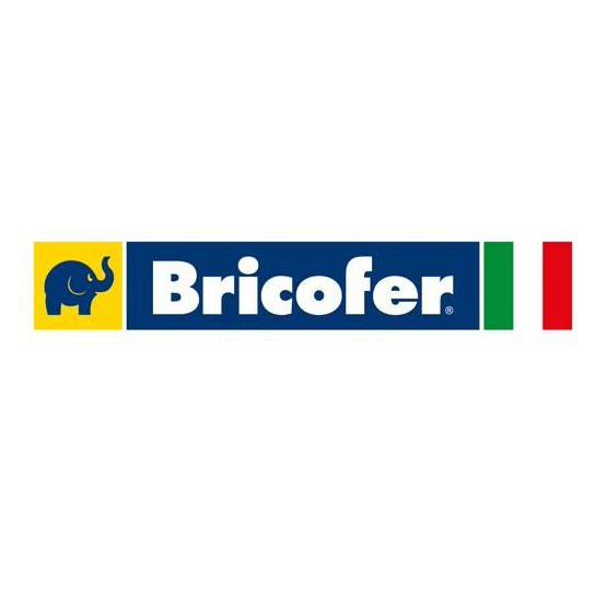 Logo Bricofer