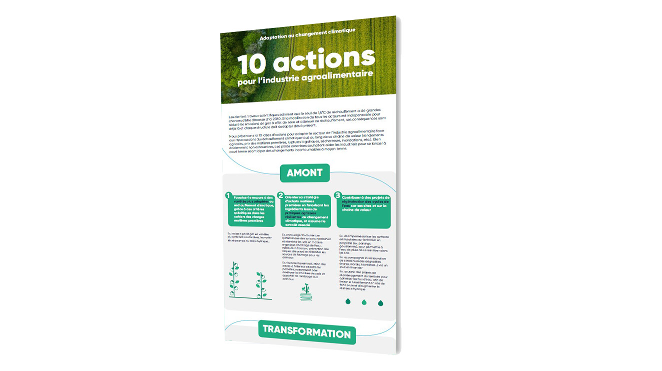 Aperçu de l'infographie sur l'adaptation au changement climatique de l'agroalimentaire