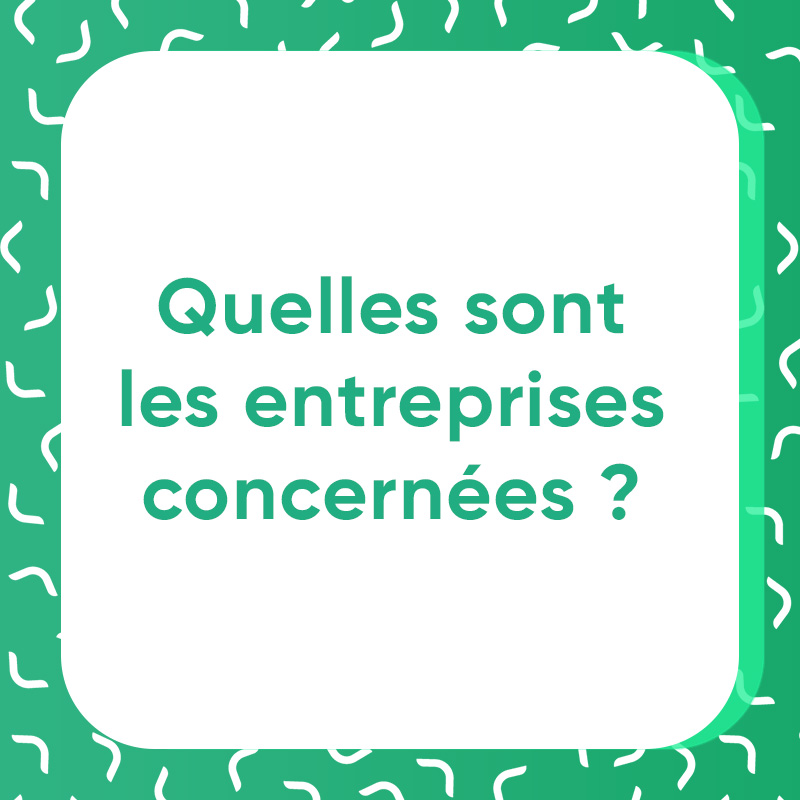 Quelles sont les entreprises concernées ?